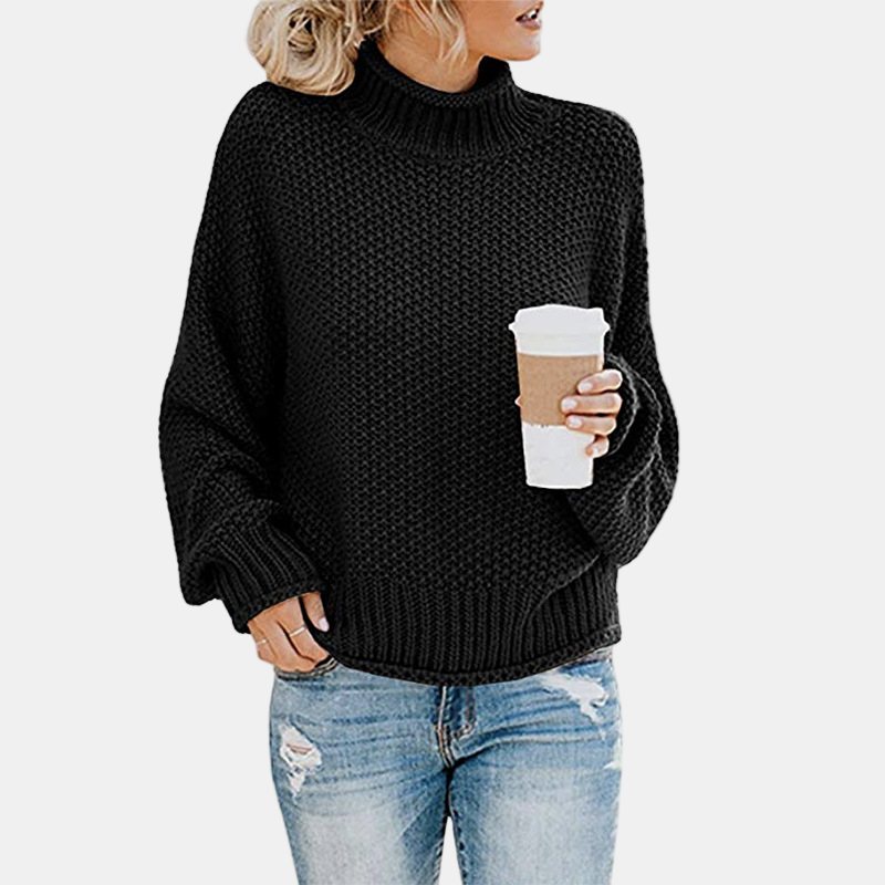 Jaselith | Snug Turtleneck Sweater
